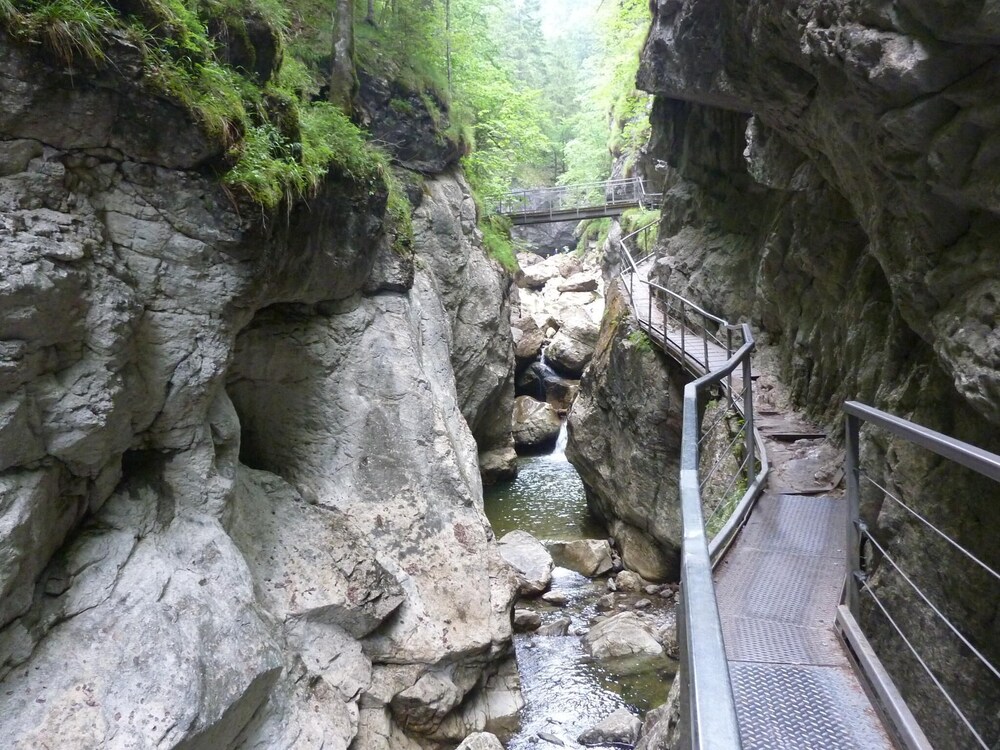 Photo 45