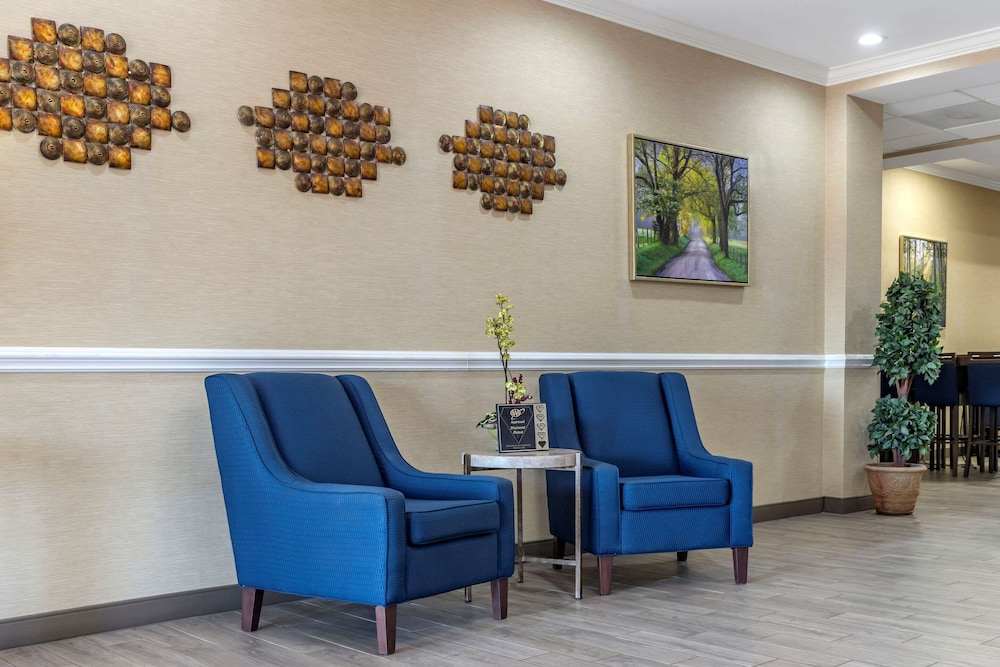 Comfort Inn & Suites Orangeburg view 3