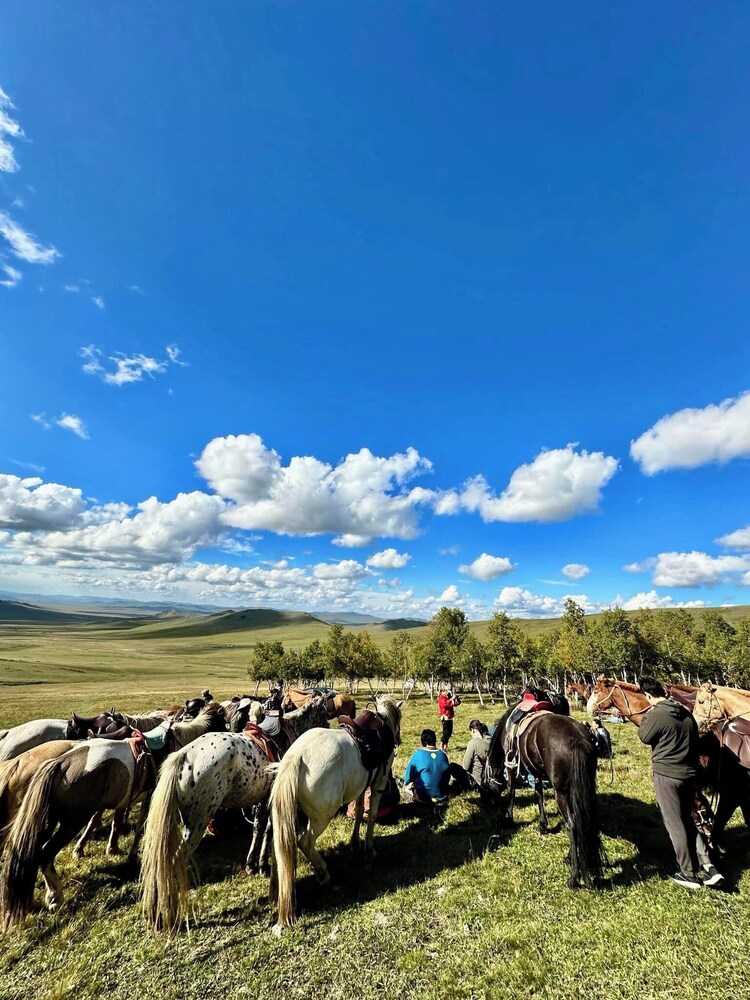 Mongol Nomadic tourist camp