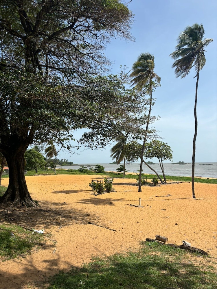 Trésor Caché d'Amazonie Oasis de Calme view 5