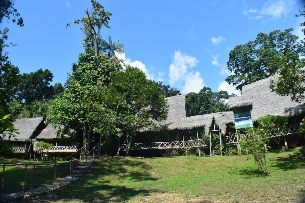 Jungle Wolf Expeditions