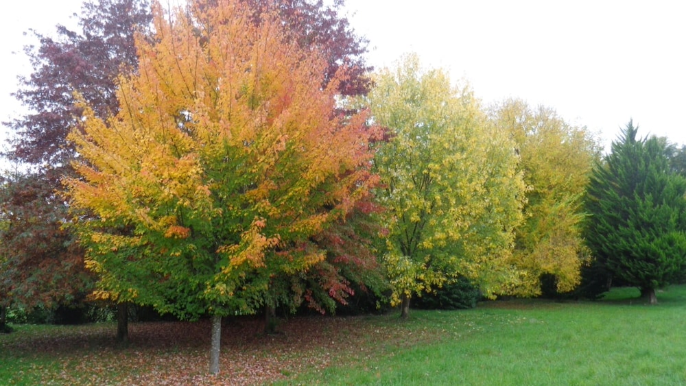 Photo 26