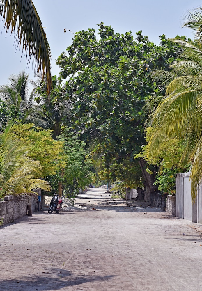 Asaa View
