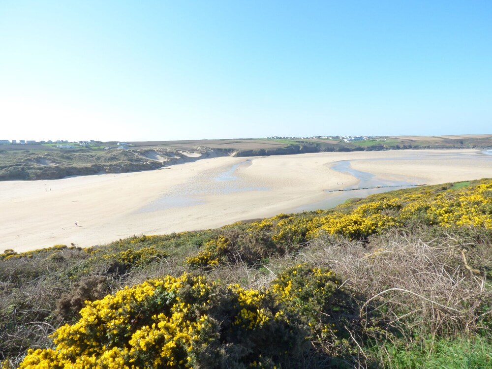 Fistral Breeze