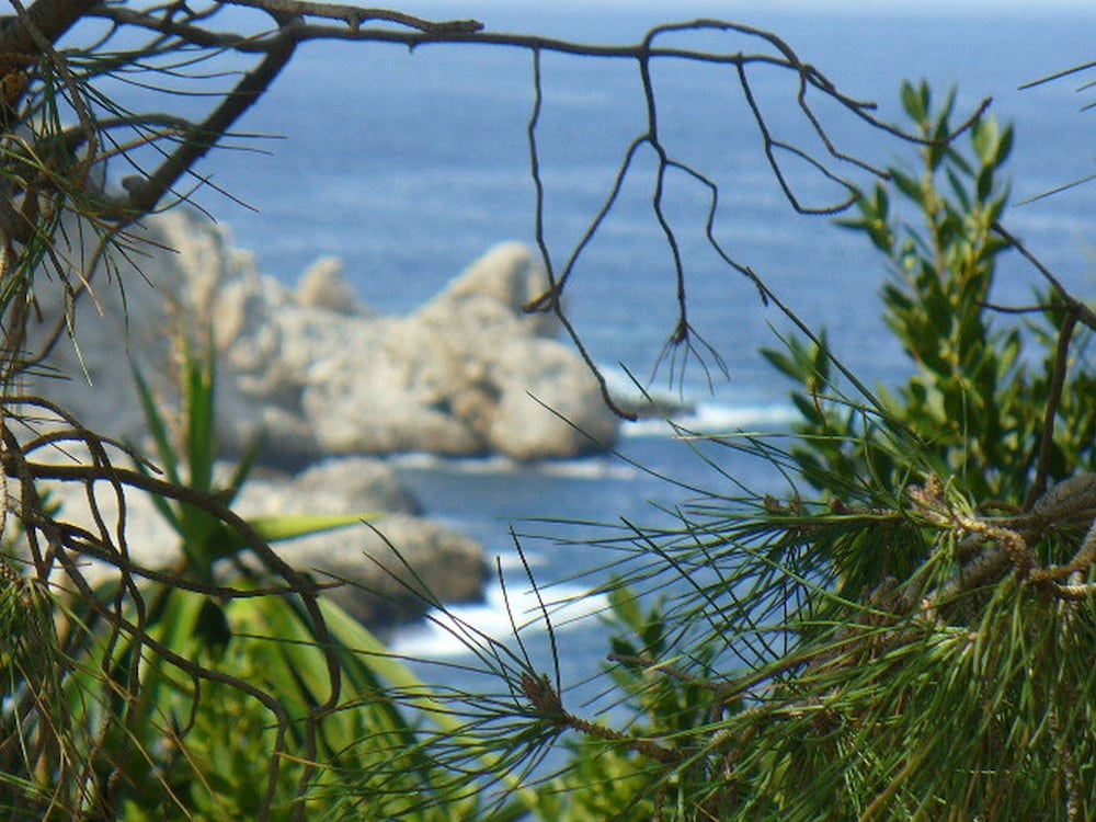 Photo 46