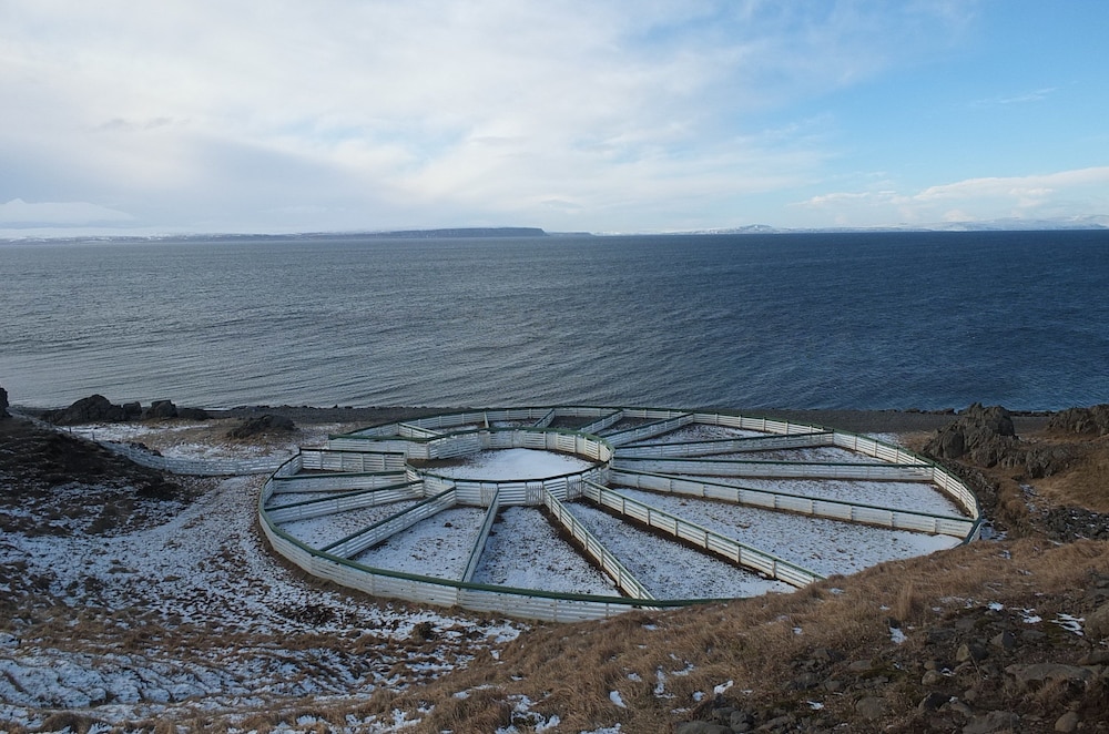 Neðra-Vatnshorn