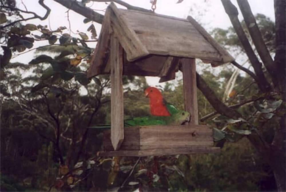Arcadia Cottage