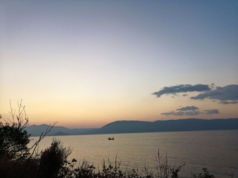 Photo 47