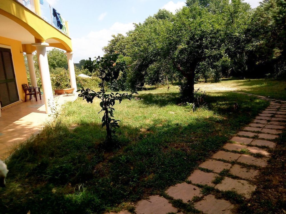 Photo 21