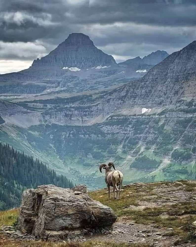 Glacier National Park Travel Agency