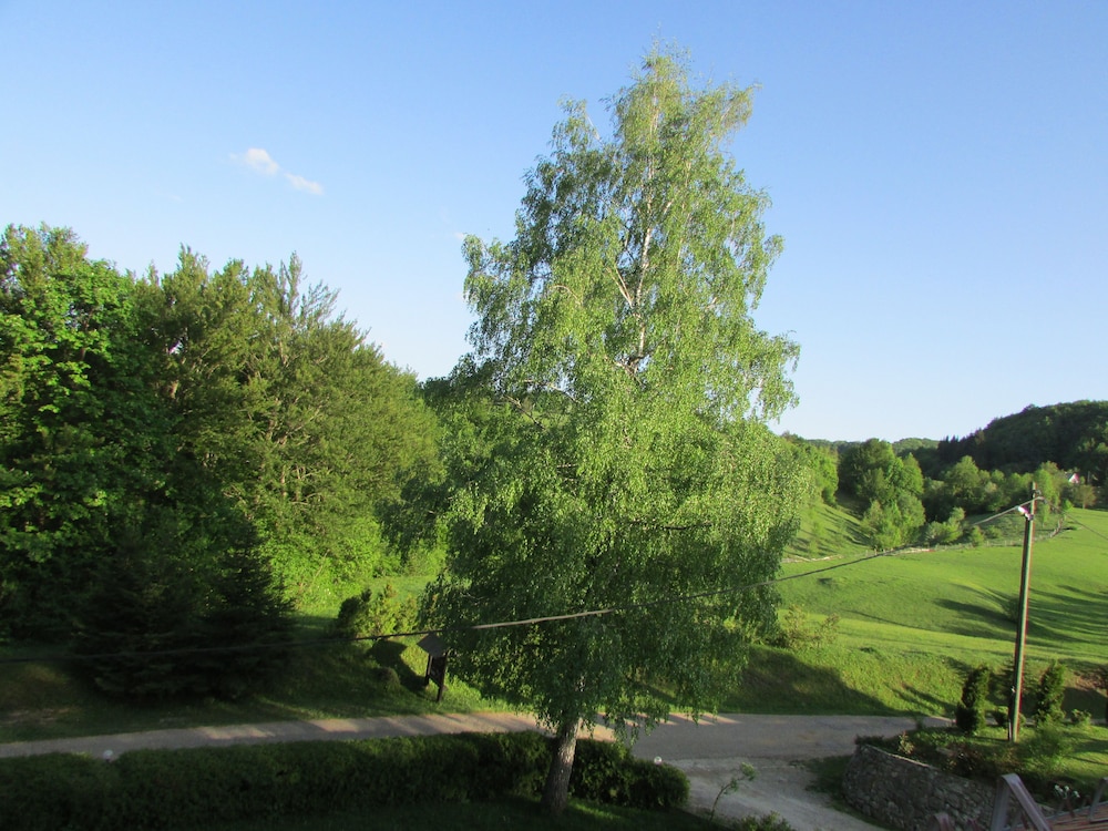 Photo 102