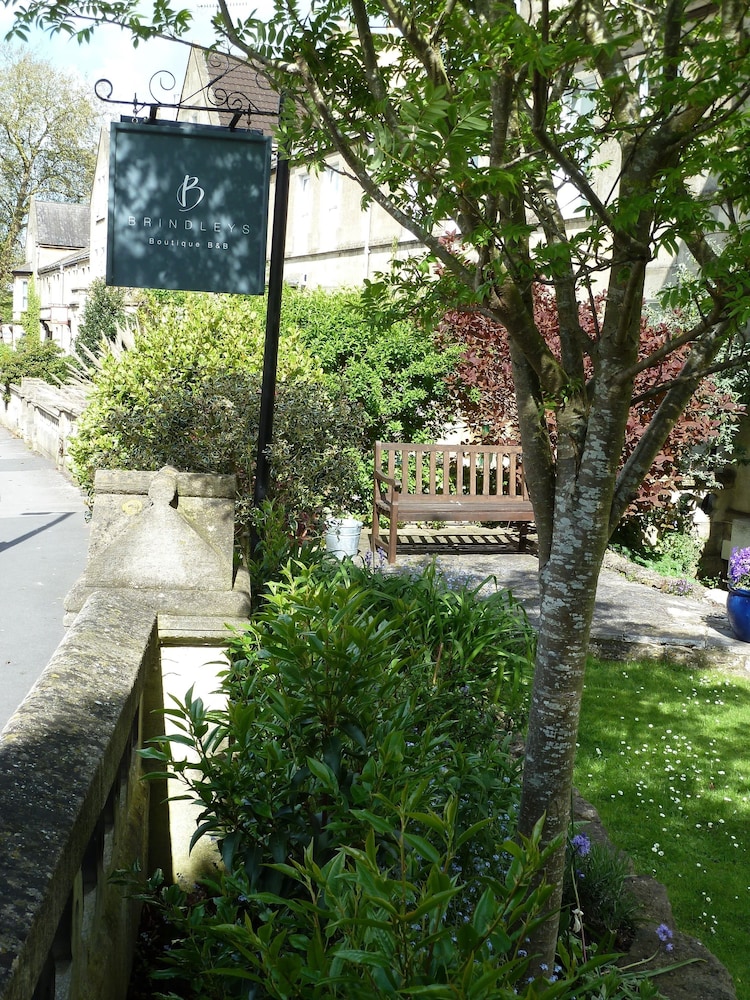 Photo 46