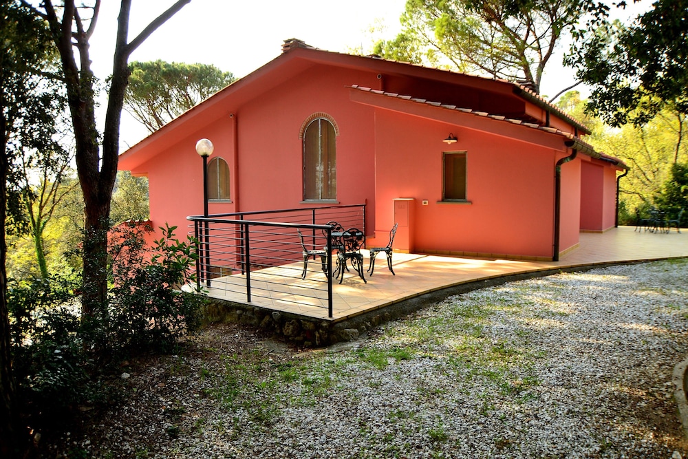 Photo 12
