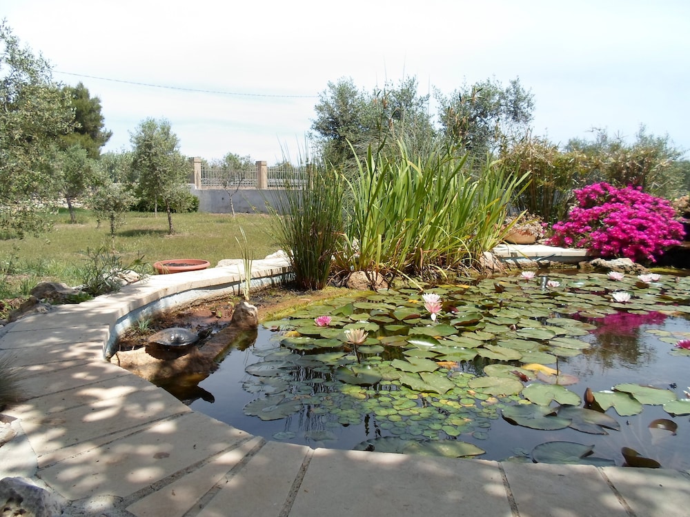 Villa Martina
