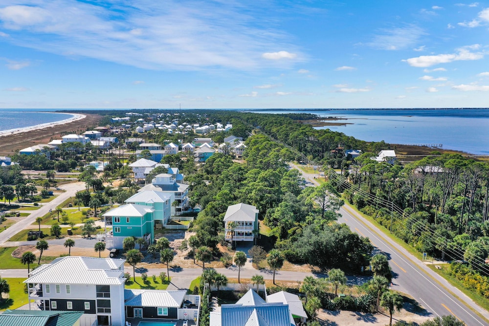Cape Palms