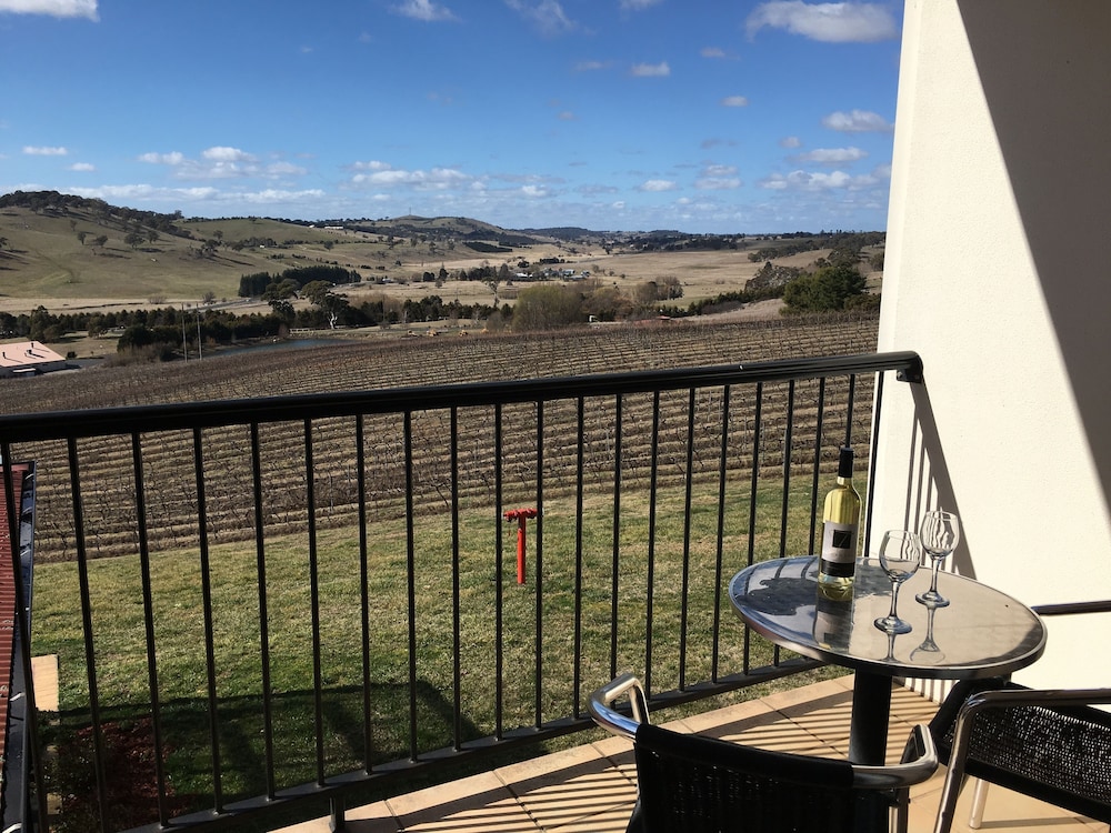 Turners Vineyard