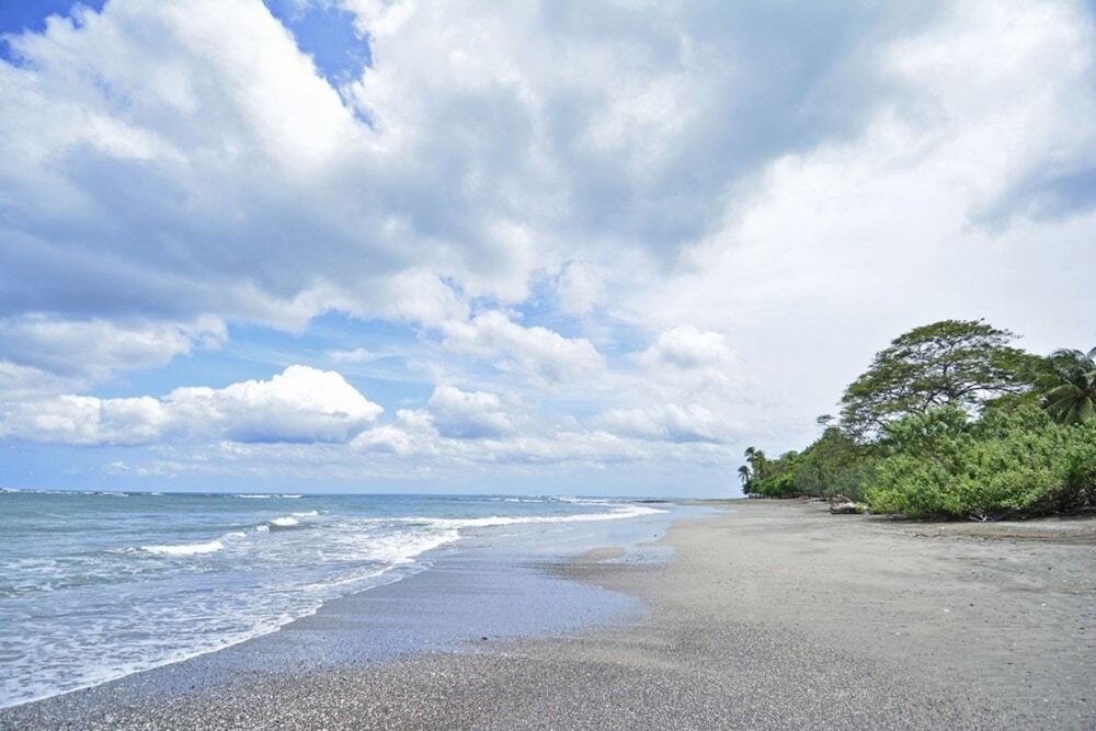 Playa Lagarto Eco Development