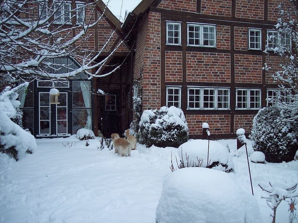 Photo 37