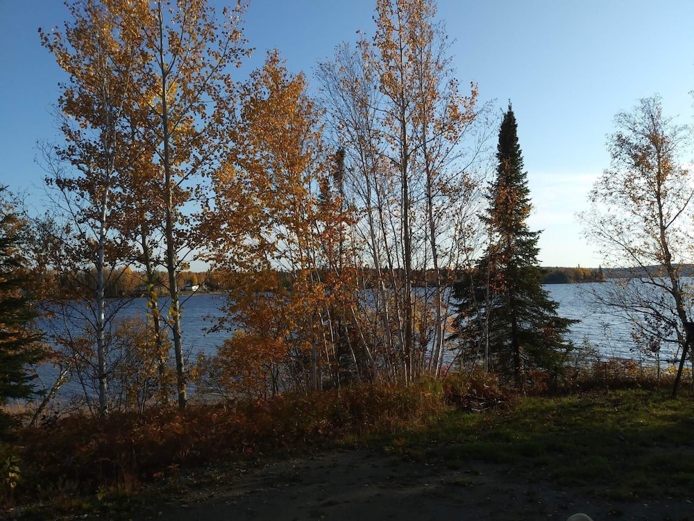 Photo 41