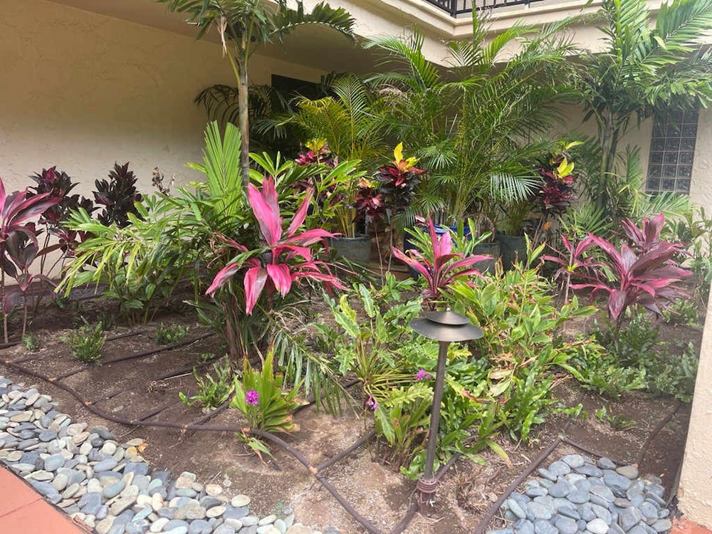 Spacious Oceanfront Hideaway Ground-level Paradise