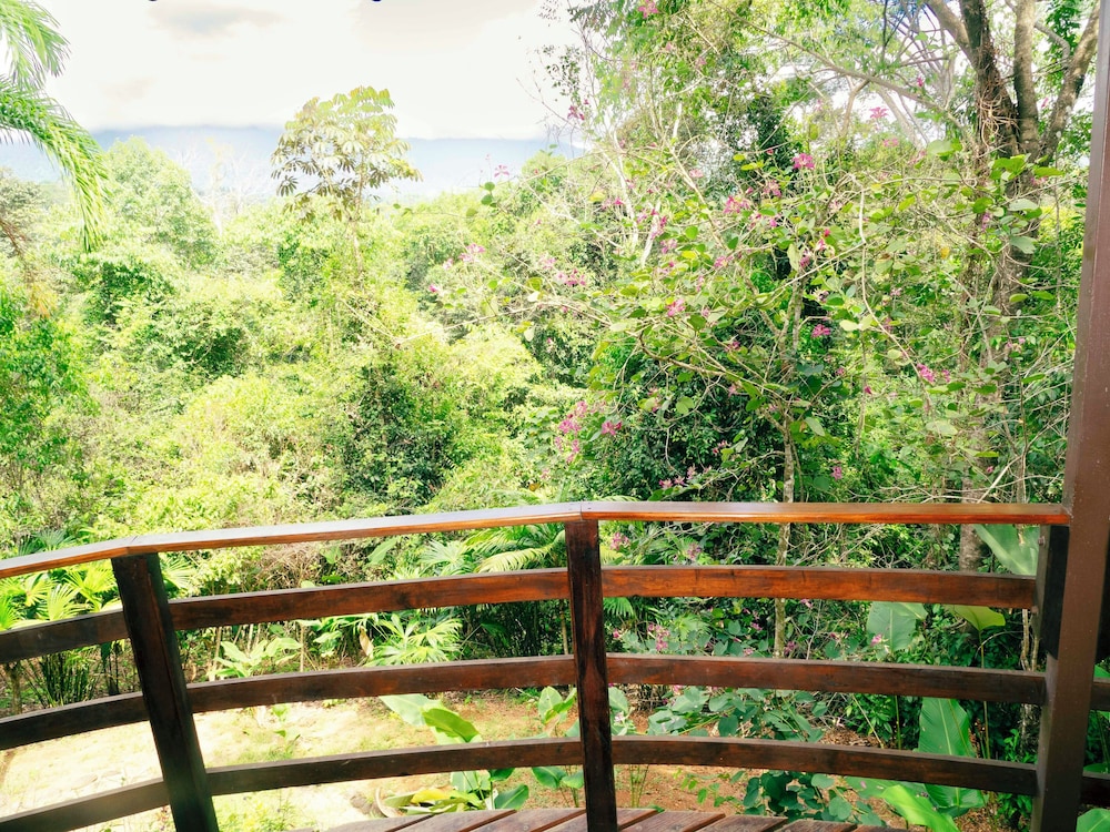 Paradise Lodge