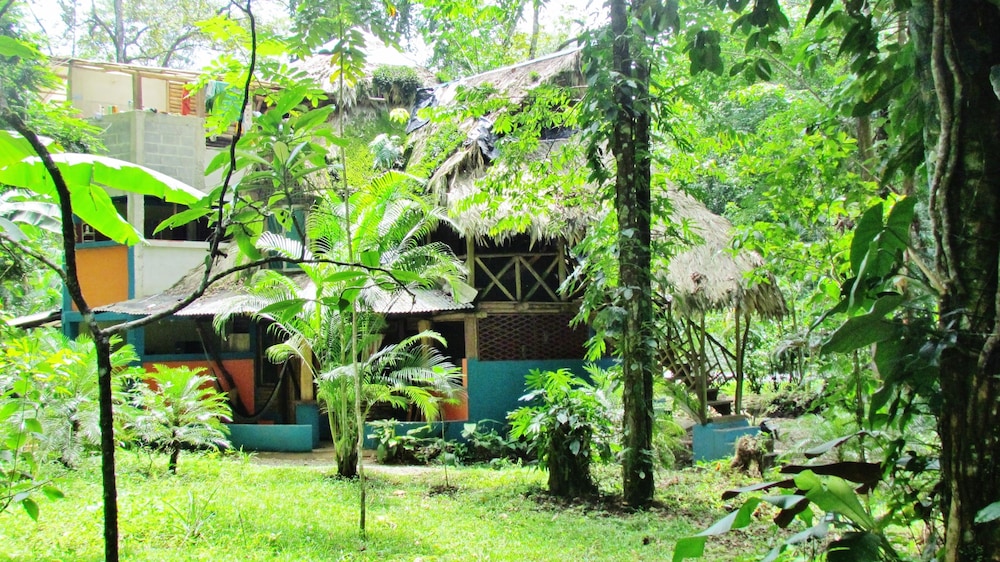 Se Ua Manzanillo