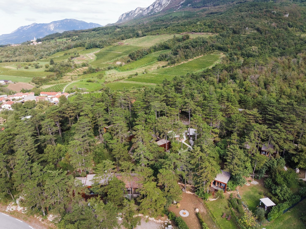 Theodosius forest village Vipava