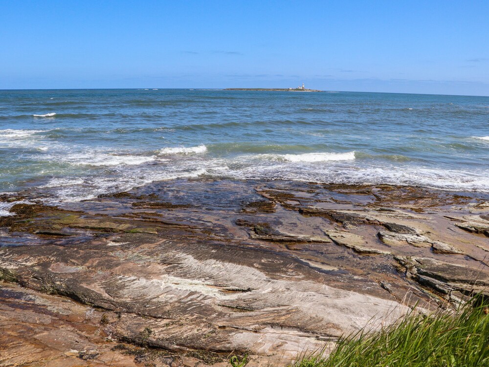 The Waves
