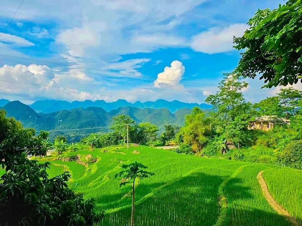 Pu Luong Jungle Lodge view 3