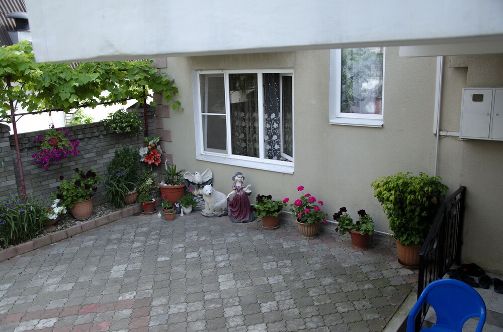 Photo 45