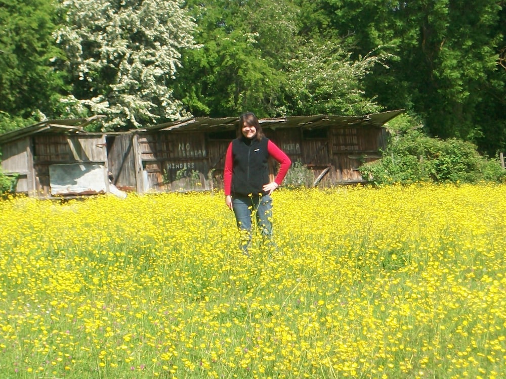 Photo 22