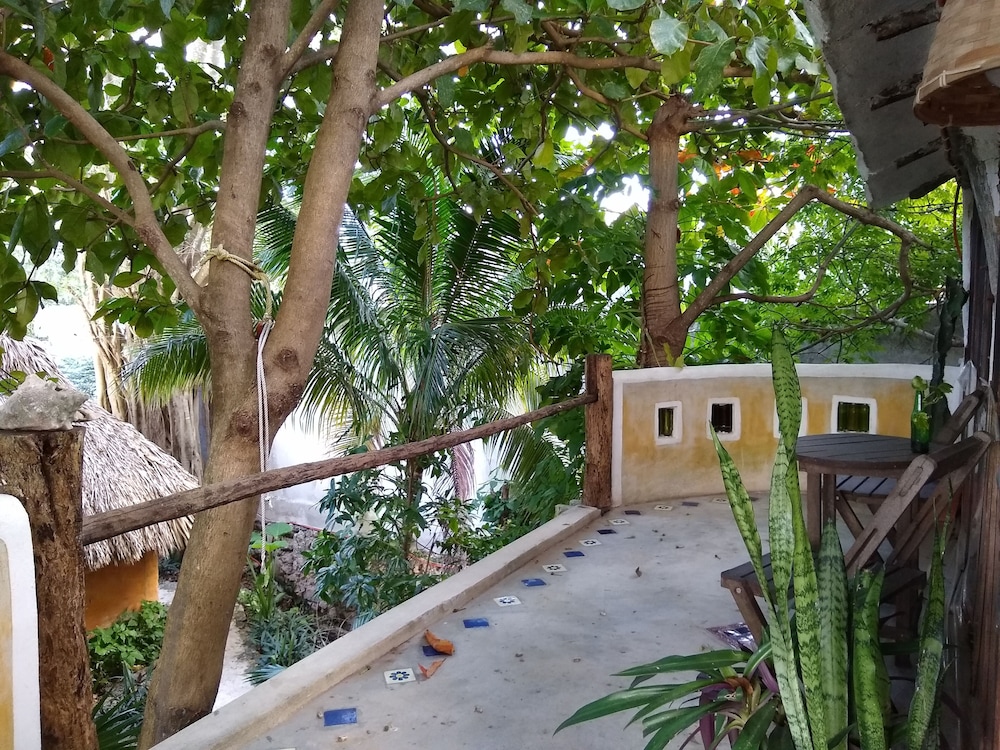 Casitas Kinsol