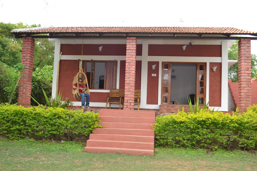 Photo 12