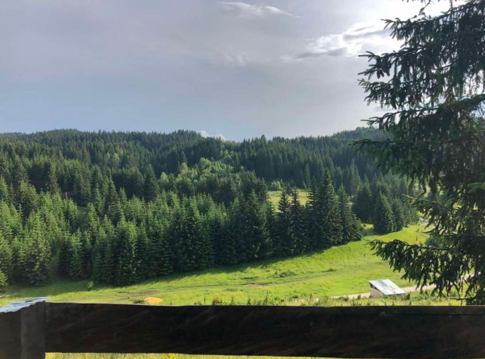 Cottage Zlodo
