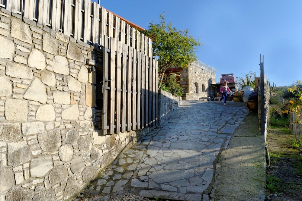 Villa Olive Tree