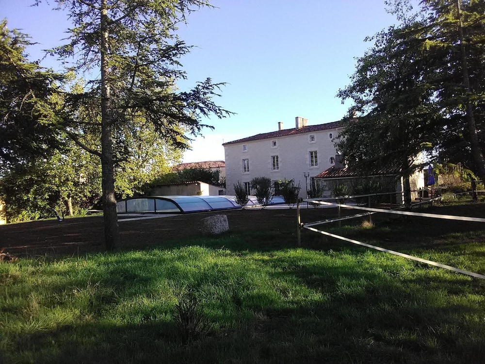Photo 11