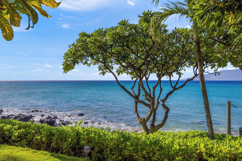 Kuleana Club - 402