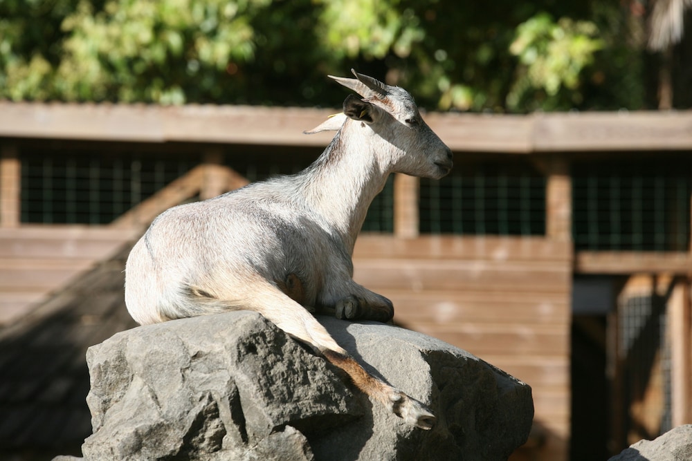 Photo 30