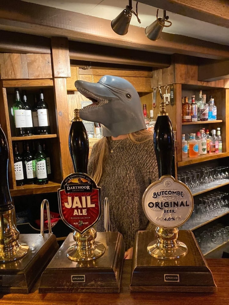 The Dolphin Inn