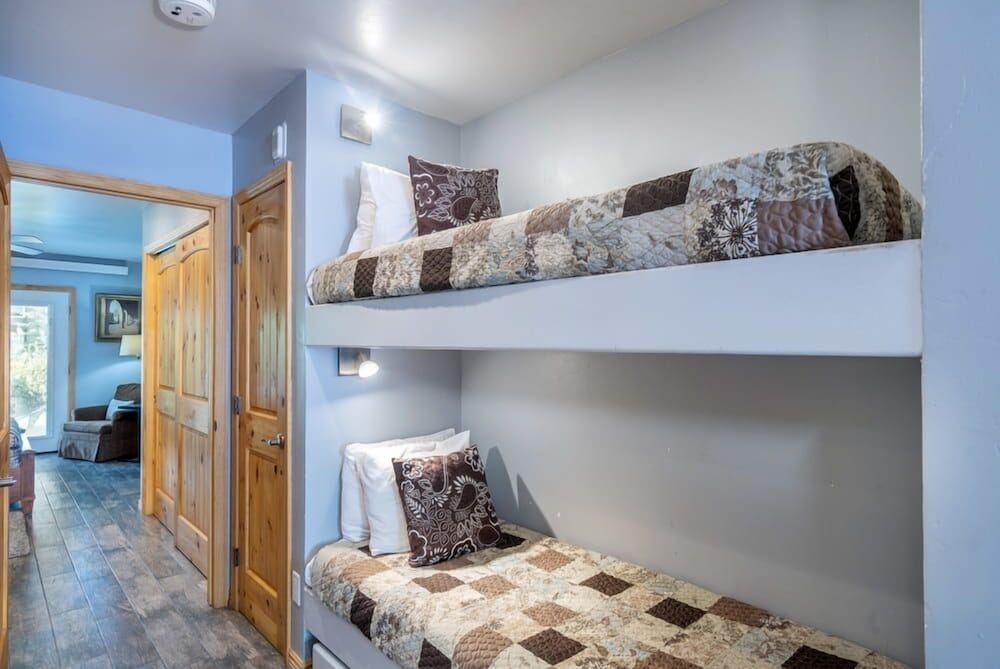 Telluride Ski Resort CO - Viking Lodge Condos