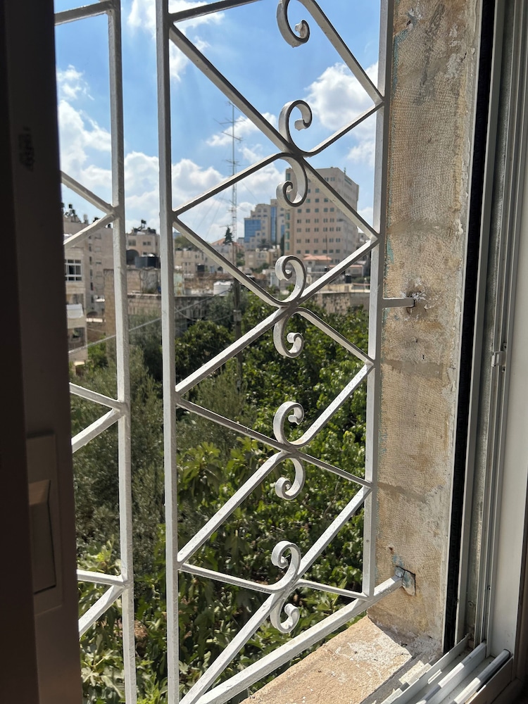 OliveTreeHostel, photo 61