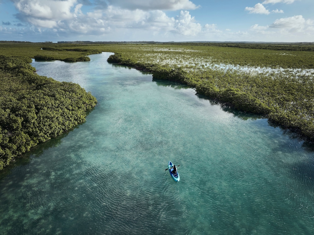 COMO Parrot Cay - Photo 125