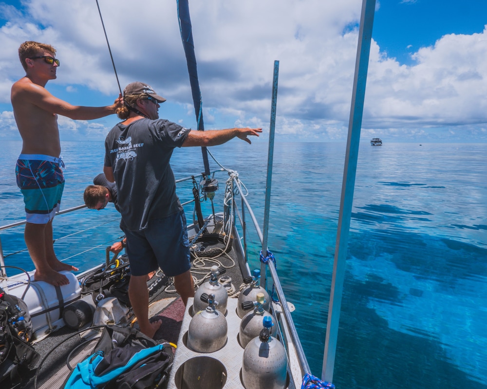 Coral Sea Dreaming Dive and Sail - Image 3