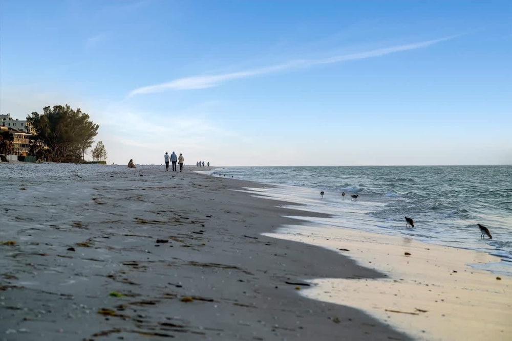 Stones Throw Beachfront Premier Suite 4 Views