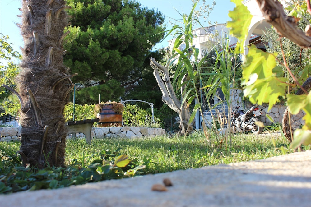 Photo 22
