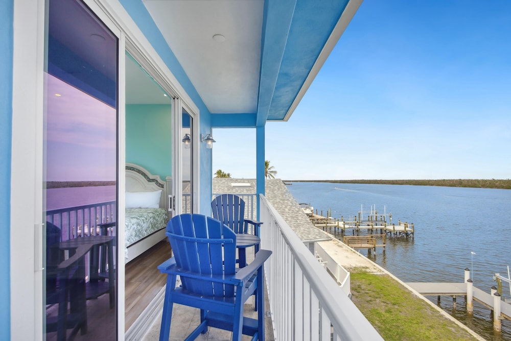 Blue Dolphin View