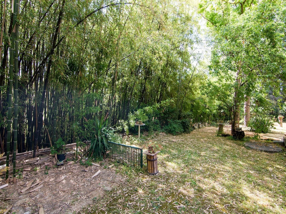 Photo 26