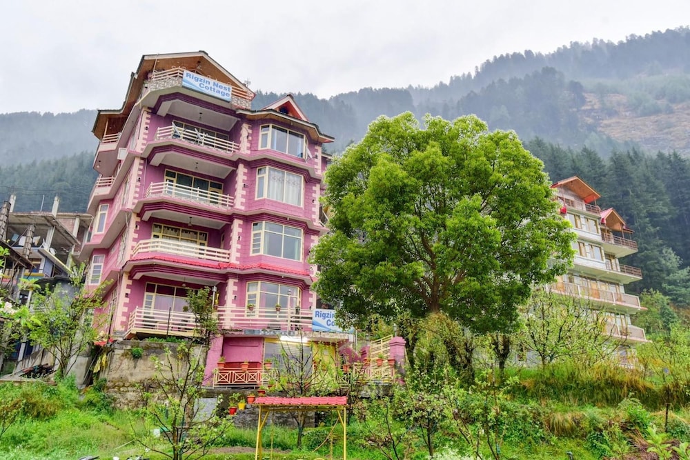 Rigzin Nest Cottage Manali