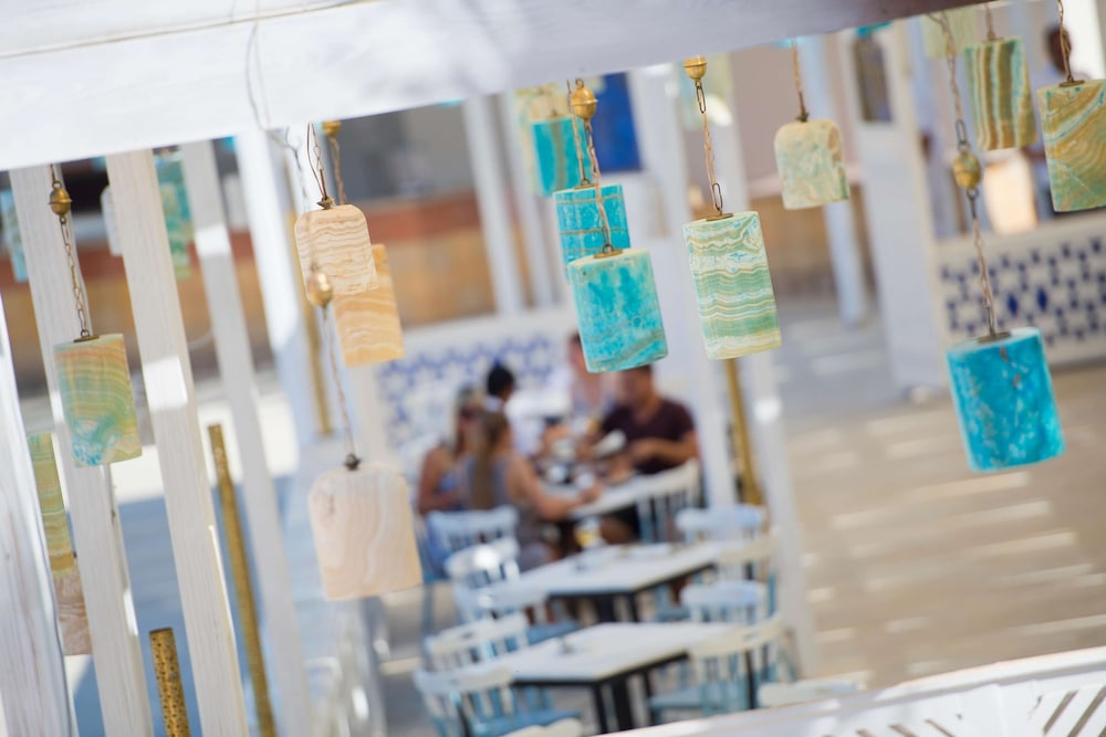 Amphoras Aqua Adults Friendly