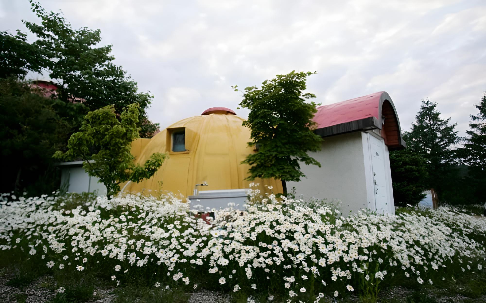 Photo 31